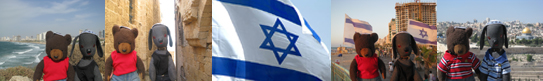 Israel banner